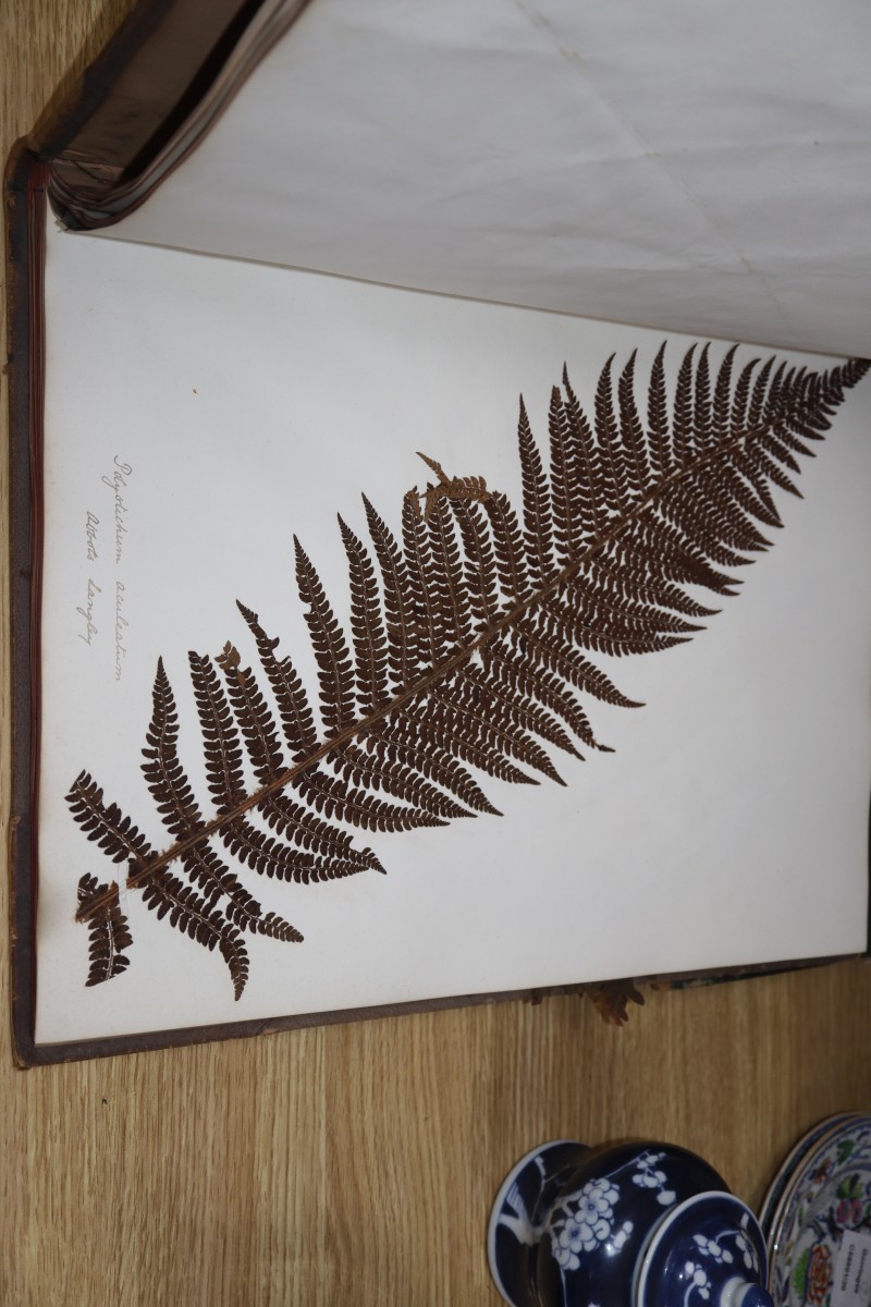 Two 19th century bound folios containing a wide range of pressed leaves of shrubs, trees and ferns, all titled in pencil